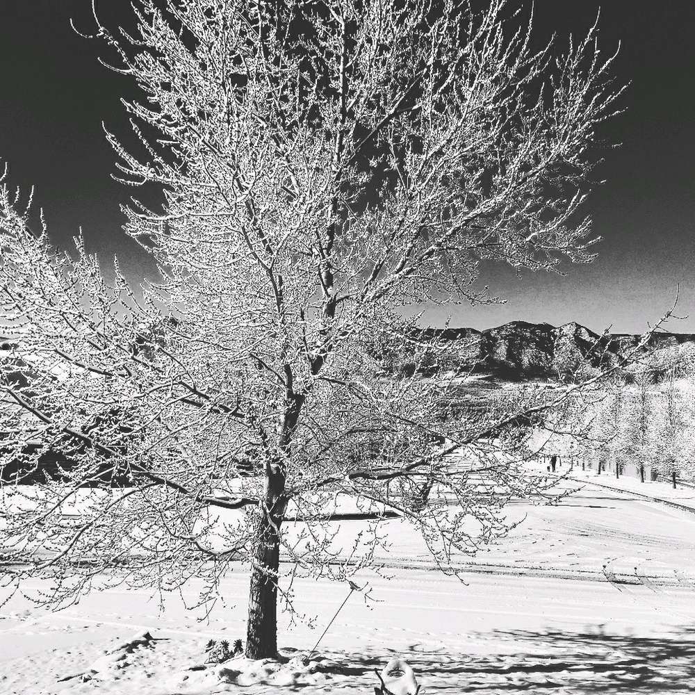 Meet your Posher, Charlotte